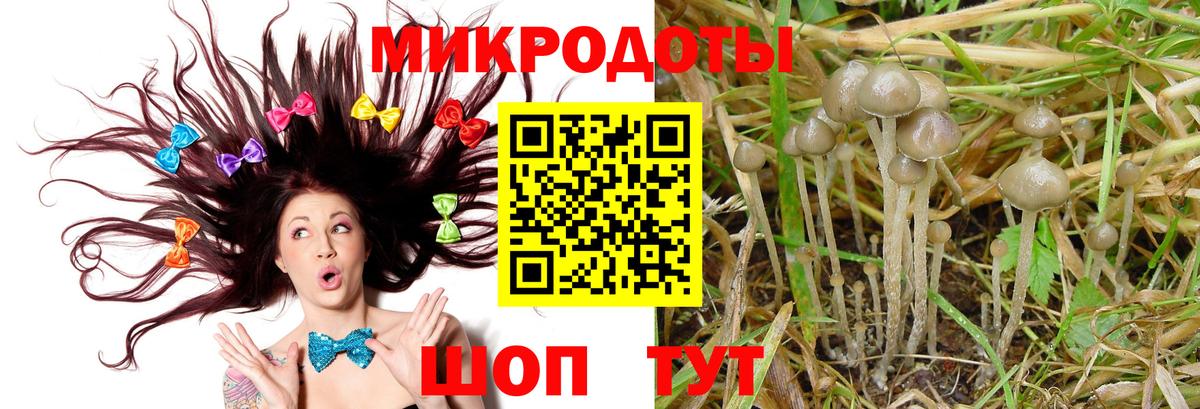 Псилоцибиновые грибы GOLDEN TEACHER Луховицы