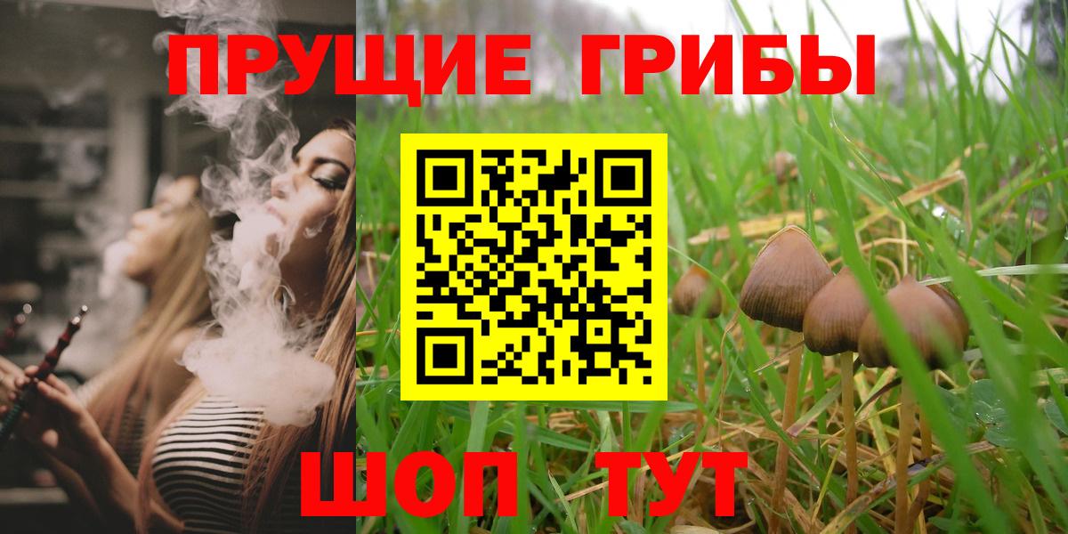 Галлюциногенные грибы Луховицы